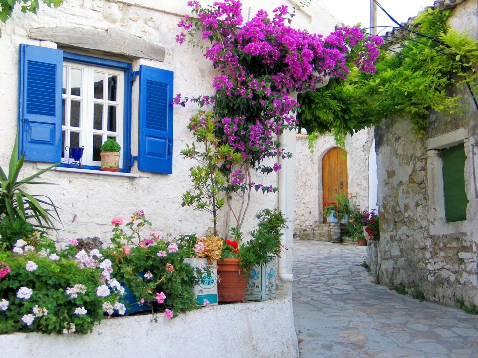 Цветущий Миконос