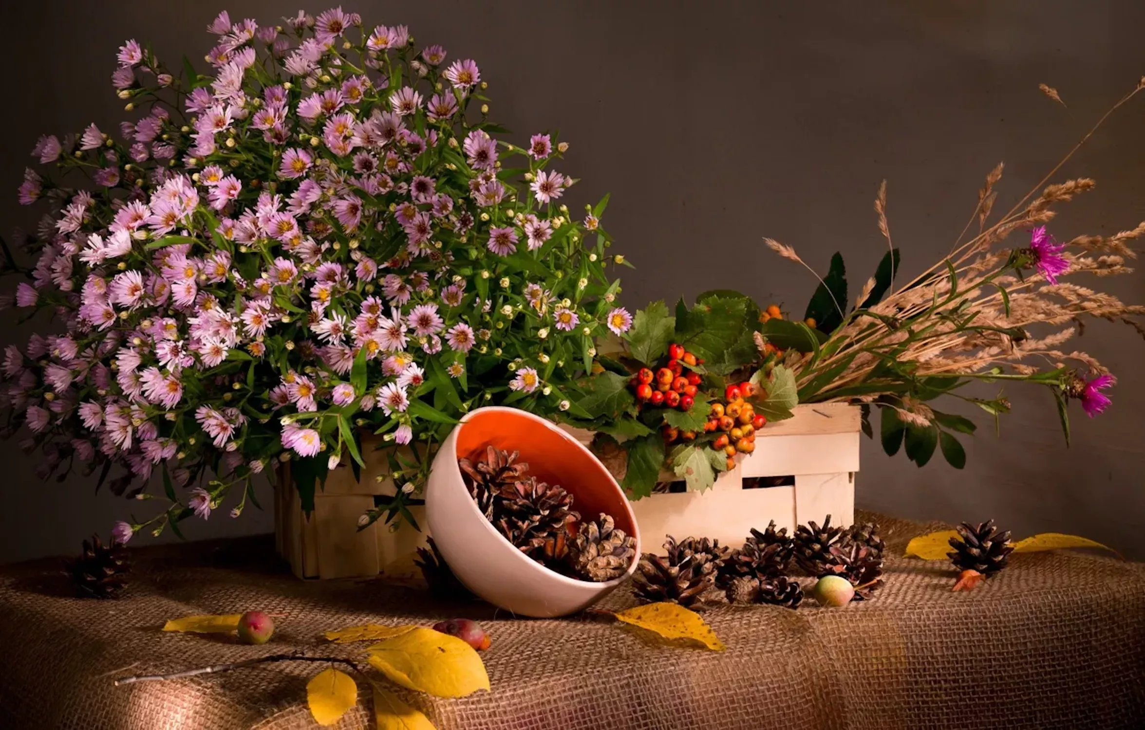 Цветы и шишки