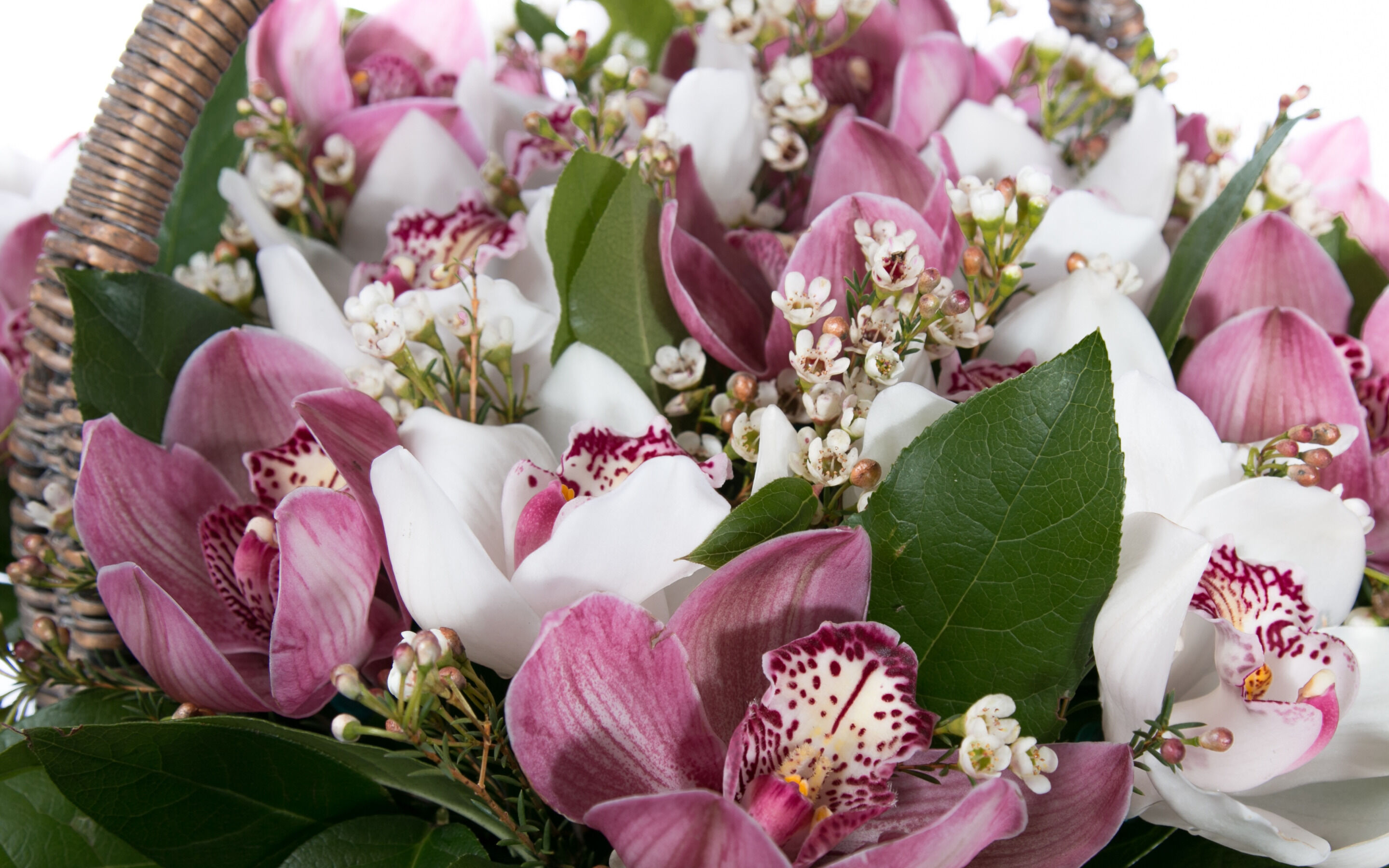 Букет из орхидей