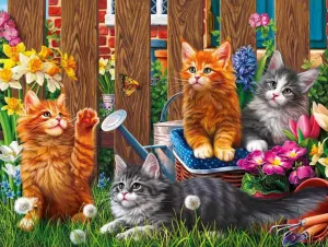 Котята дачника