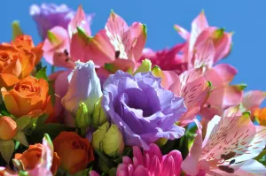 Букет на солнце