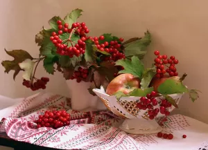 Калина с яблоками