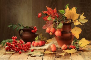 Рябина и дикие яблочки