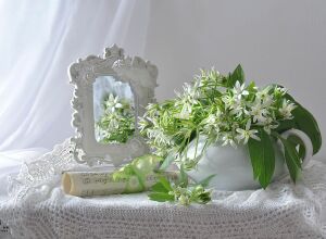 Первоцветы и ноты