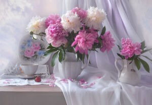 Пионы и блюдце