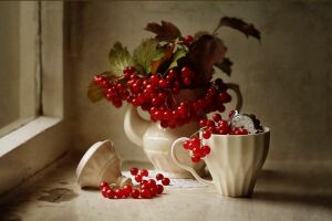 Калина и часики