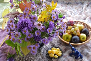 Со слоником