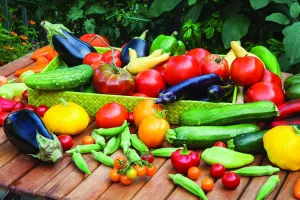 Красивые разные овощи