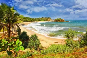 Пальмы и песок