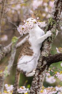 Васька весной