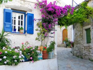 Цветущий Миконос