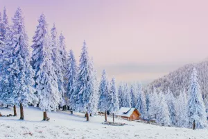 Дом в снежном лесу