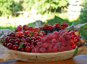 Малинка и другие ягоды