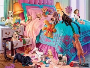 Питомцы без хозяина