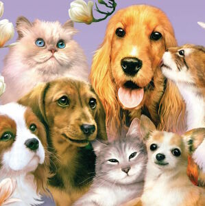 Ласковые звери