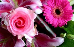 Роза, лилия и гербера