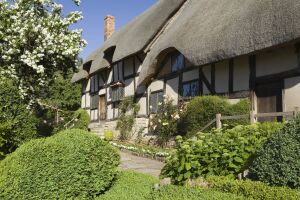 Жасмин у дома