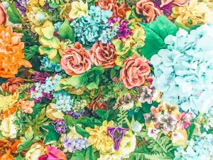 Комбинация цветов