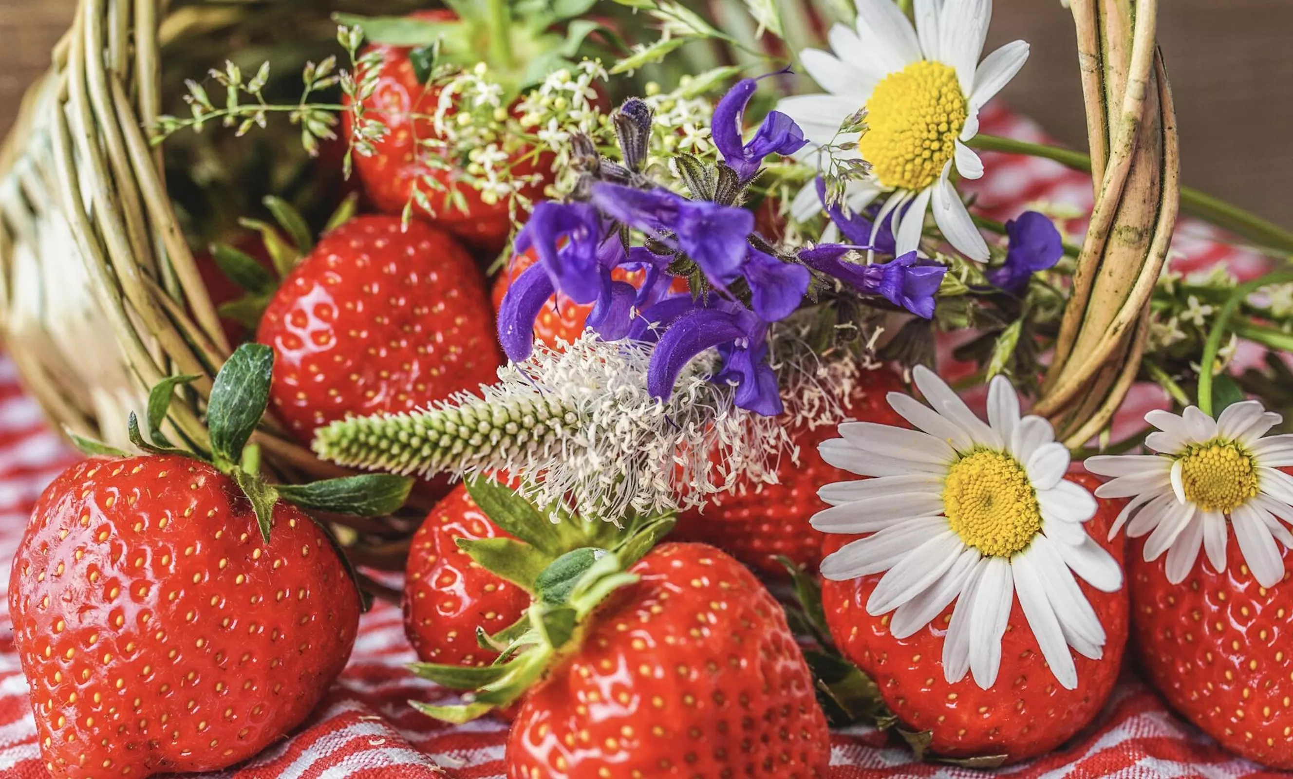 Клубника и полевые цветочки