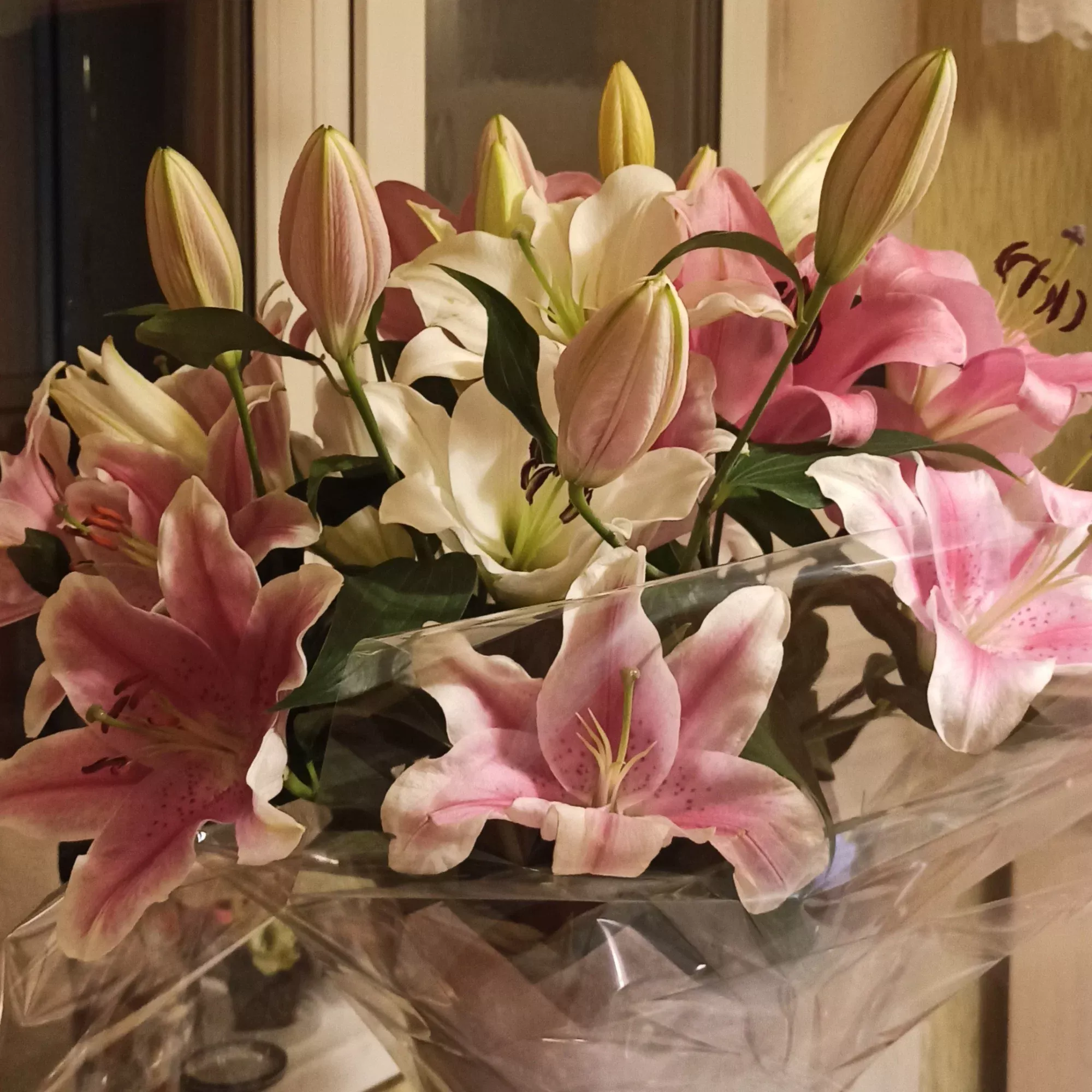 Шикарные лилии