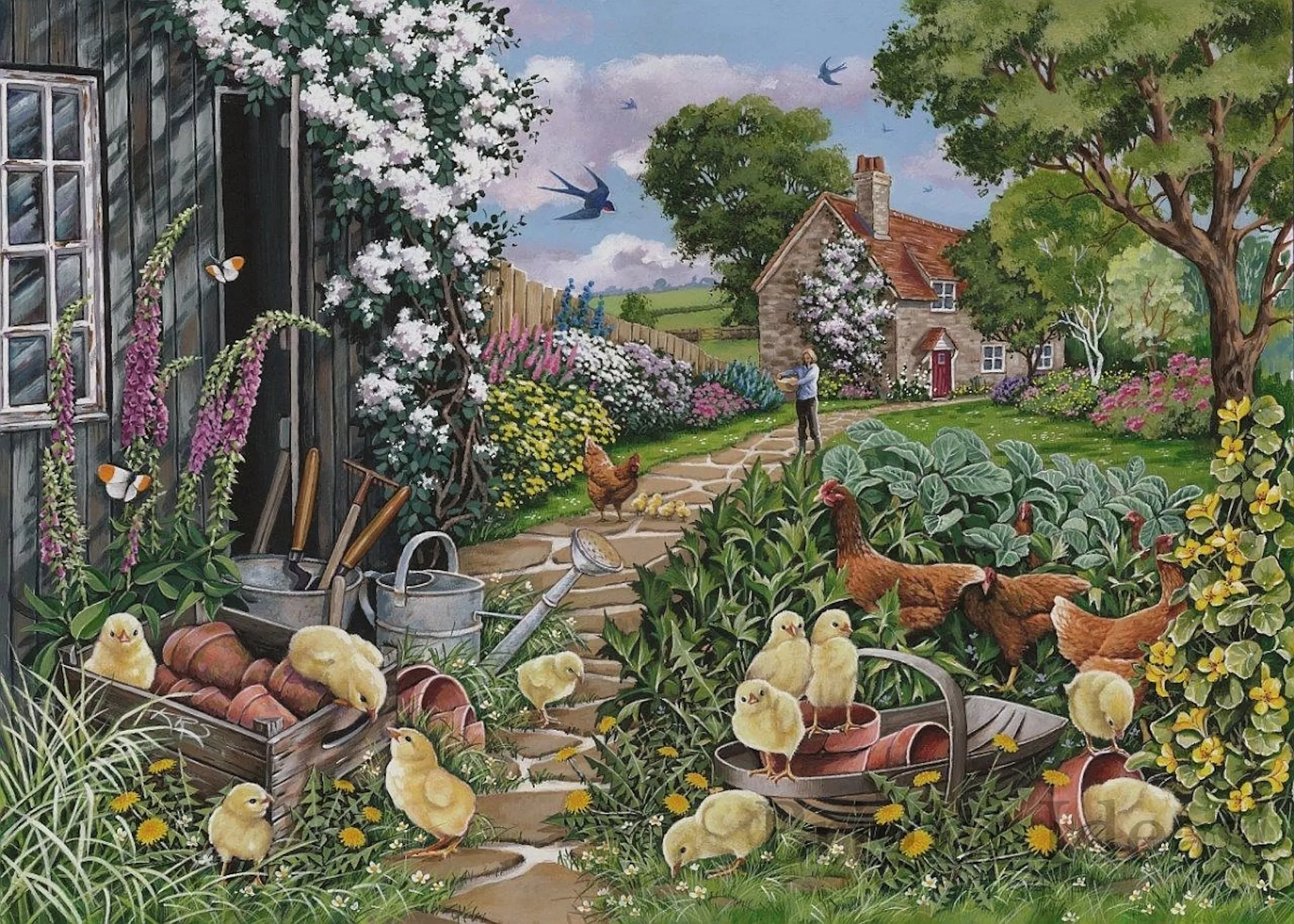 Курчата во дворе