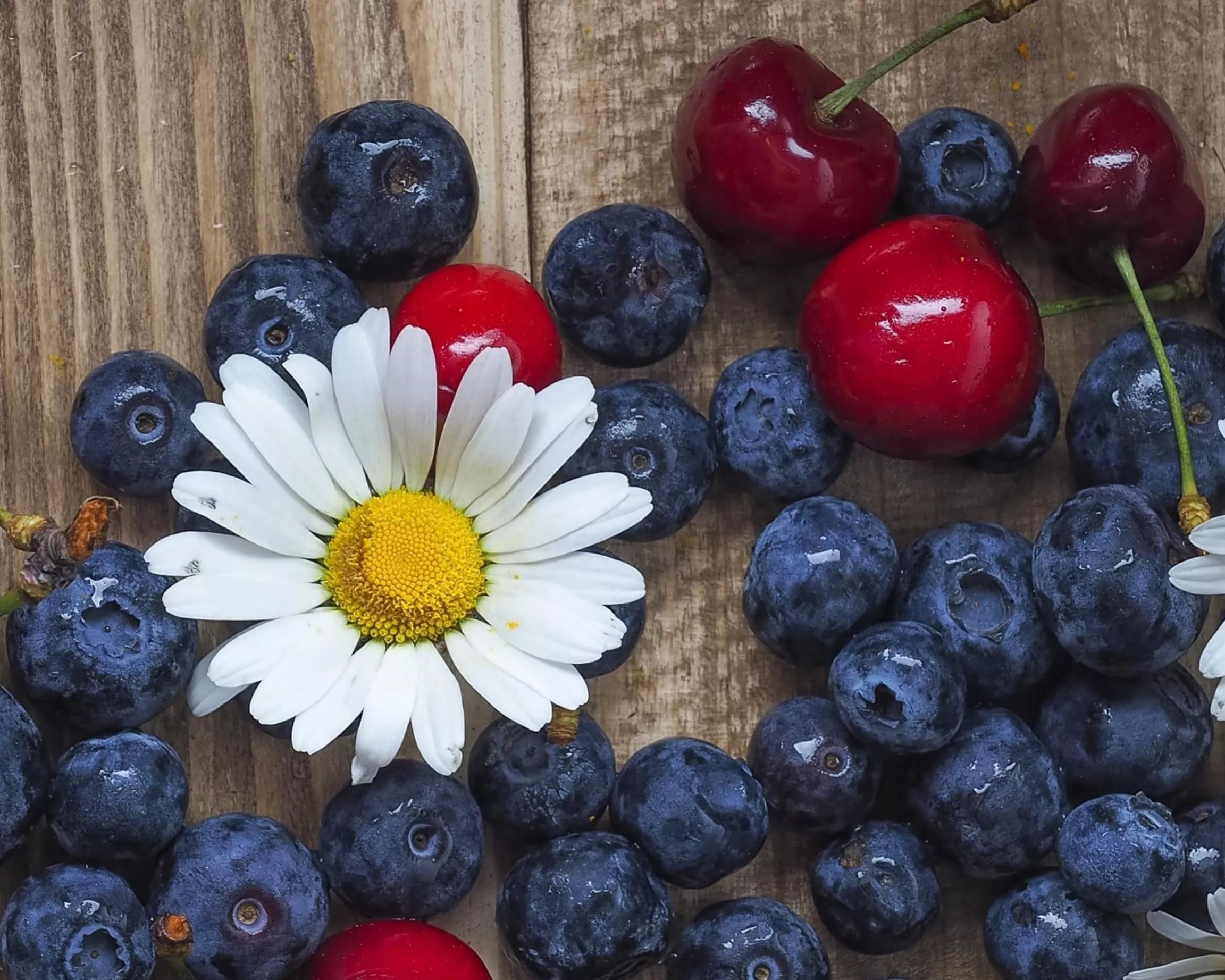 Черника и ромашка