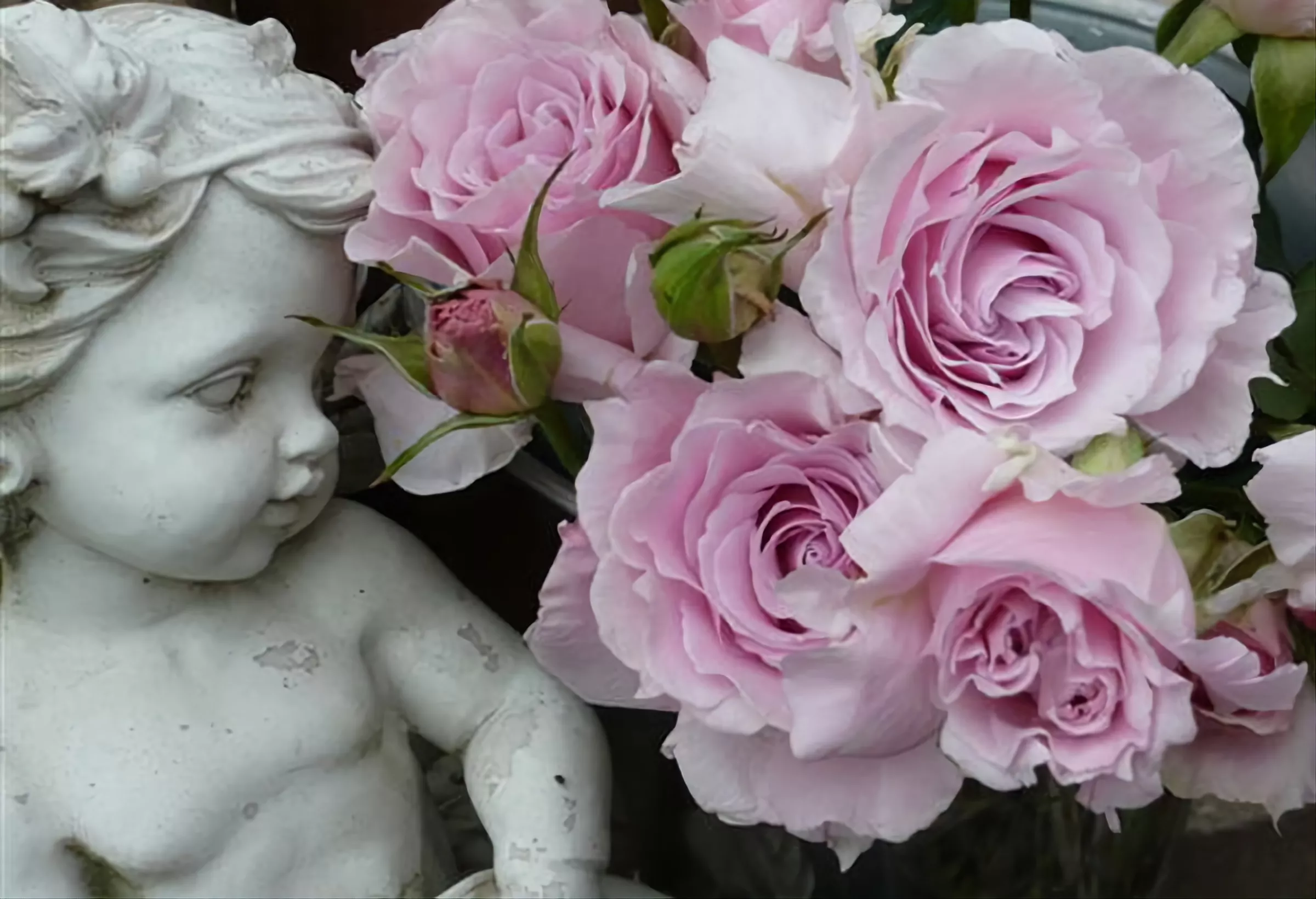 Сиреневые розы и статуэтка