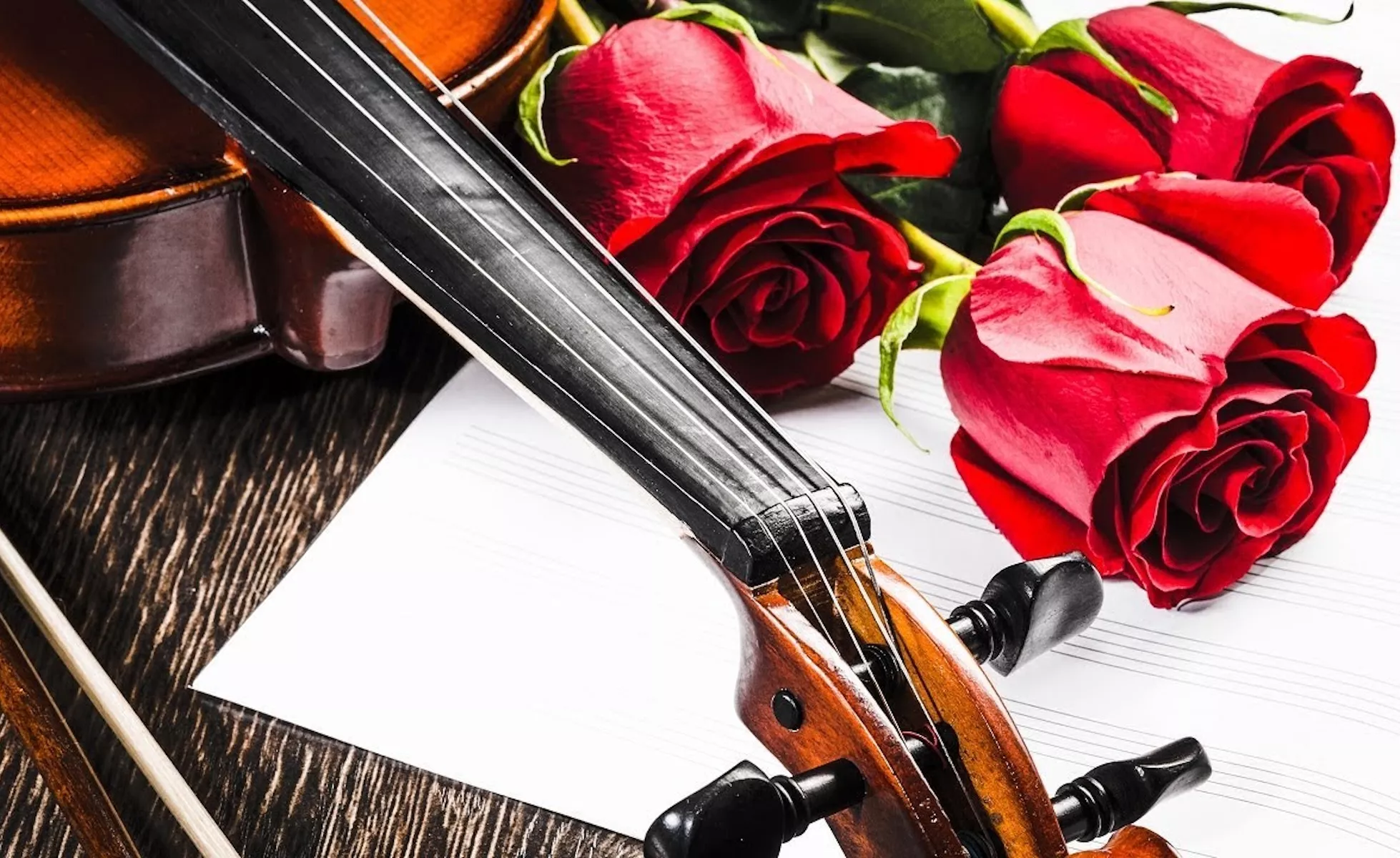 Красные розы и скрипка
