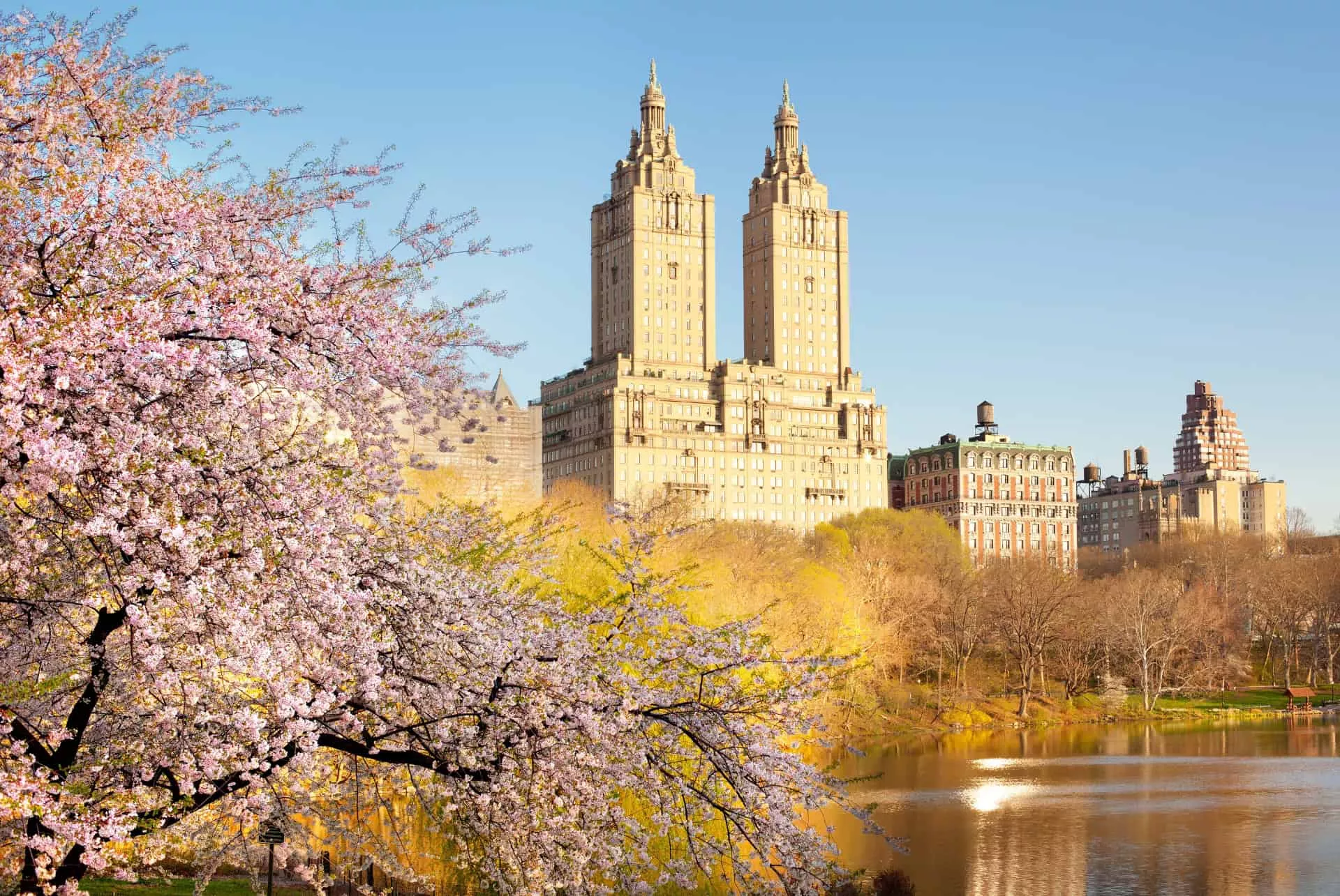 Цвет и башни