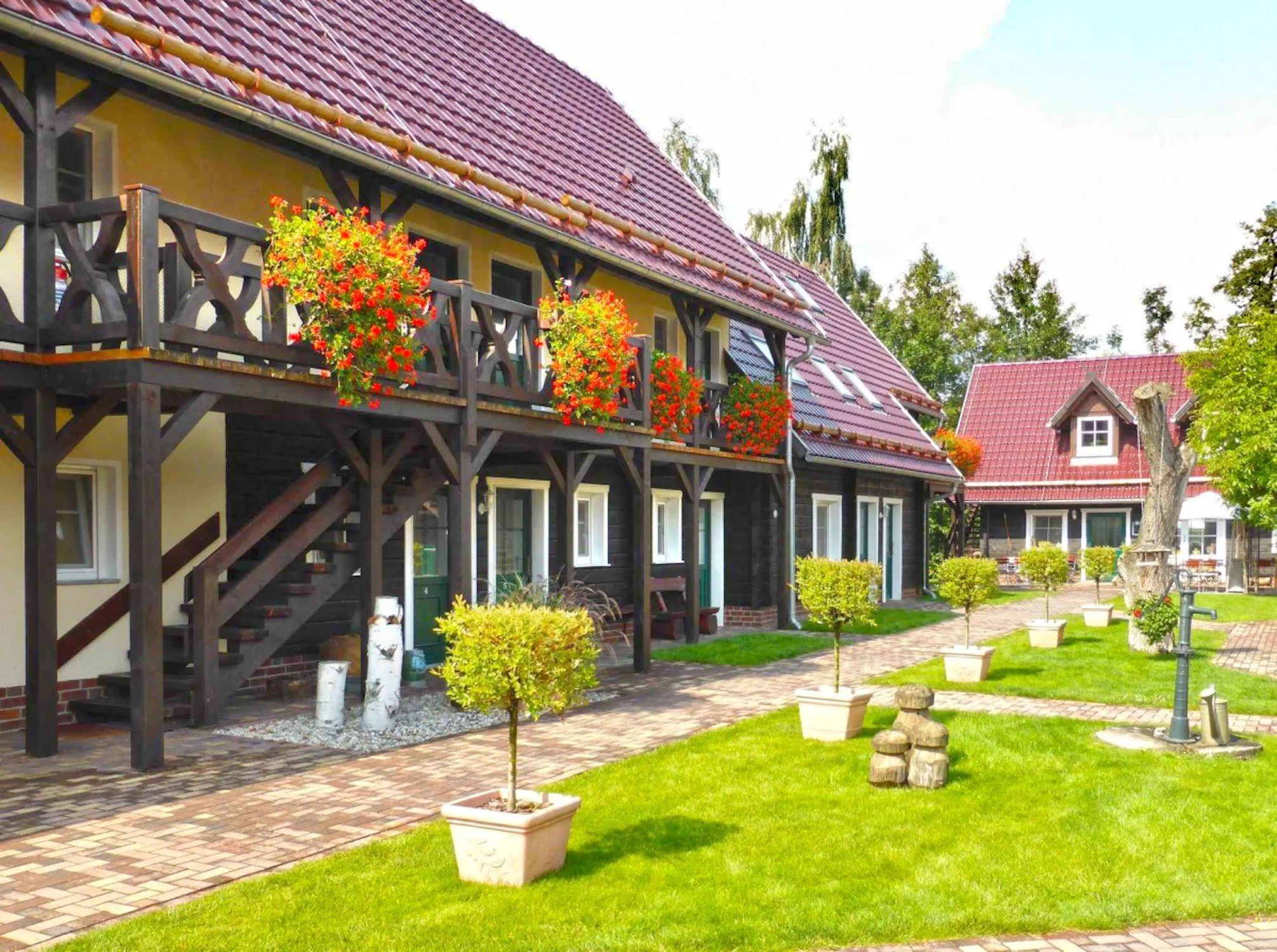 Отель Змеиный король