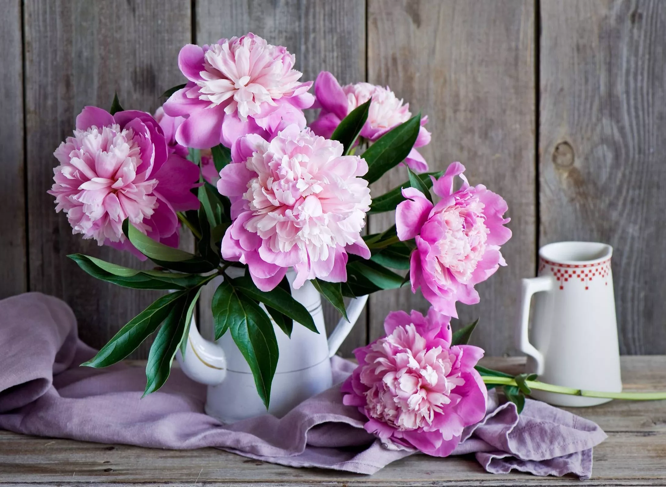 Розовый пион