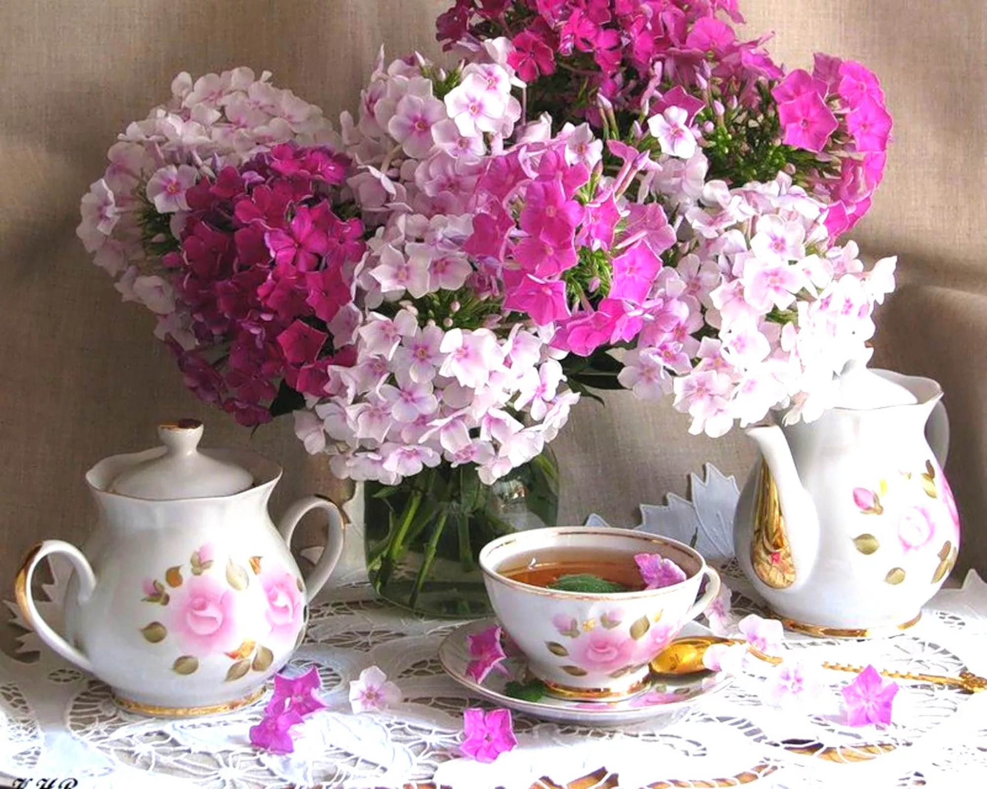 Флоксы и сервиз