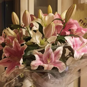 Шикарные лилии