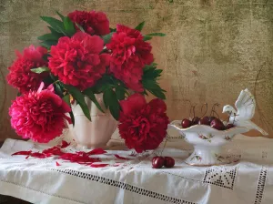 Красные пионы и черешня