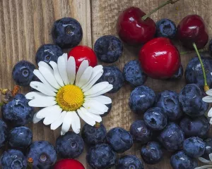 Черника и ромашка