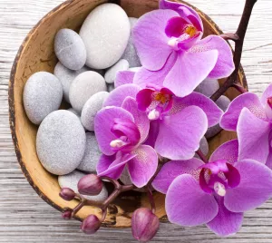 Орхидеи и галька