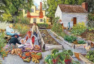 Дачный пикник