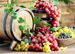 Бочки и виноград