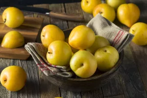 Желтая медовая слива