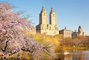 Цвет и башни