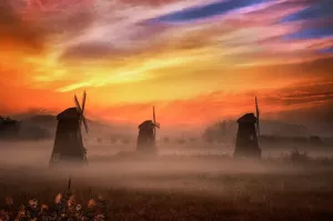 Мельницы и туман
