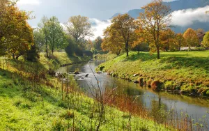 Извилистая речка и мост