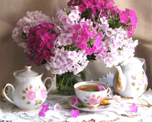 Флоксы и сервиз