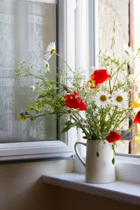 Окно и букет