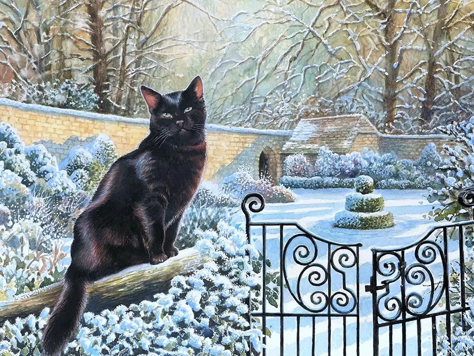 Зимняя кошка