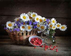 Ромашки и земляника