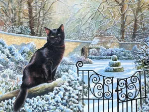 Зимняя кошка