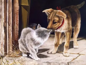 Неожиданная встреча друзей