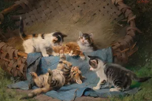 Игривые котятки