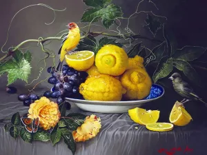 Птицы и лимоны
